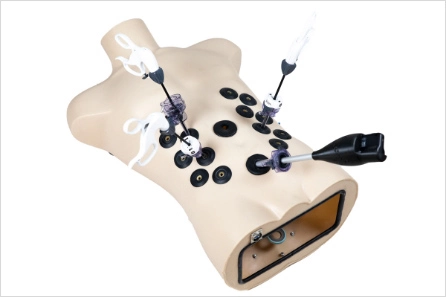 Ενσύρματη κάμερα